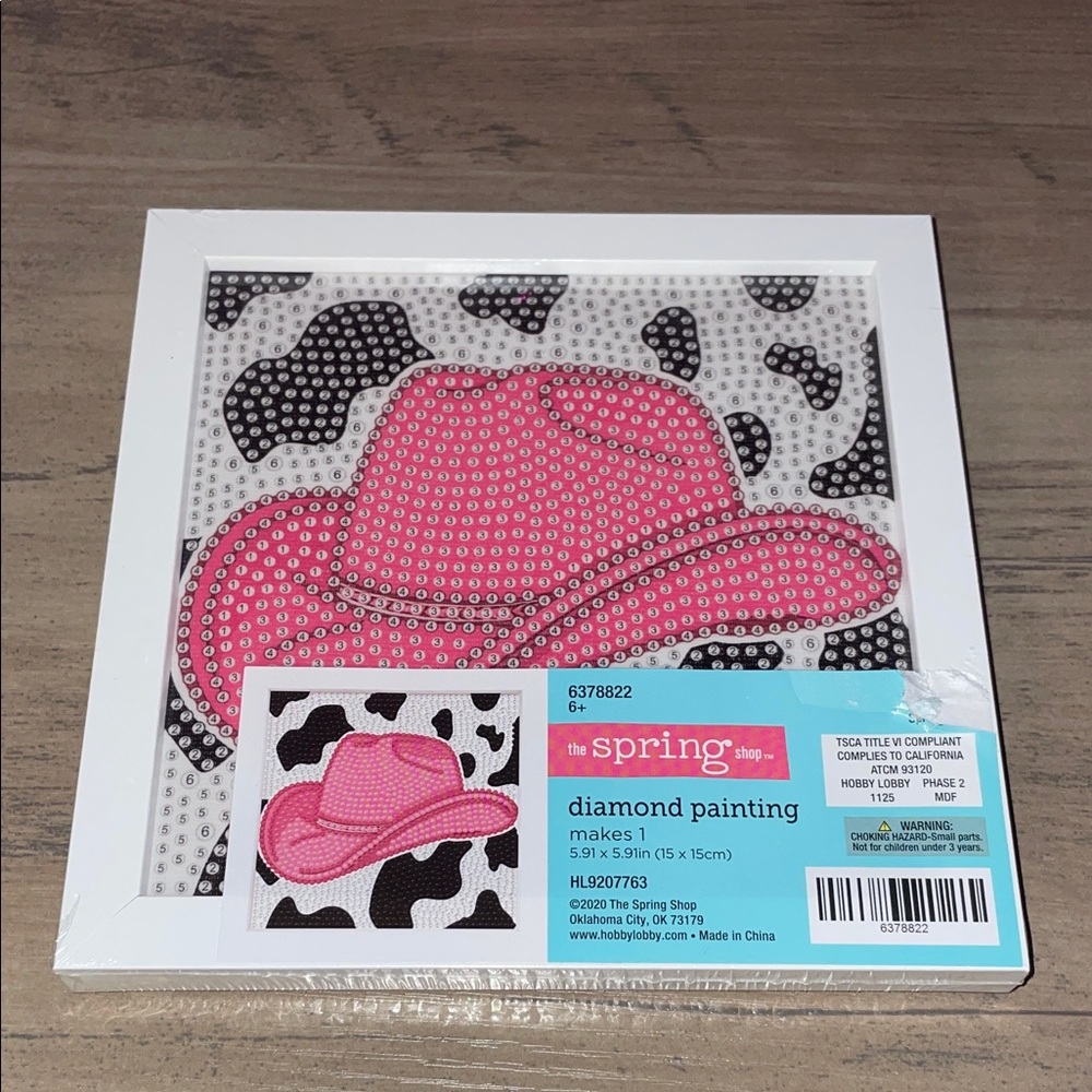 🆕💜 Pink Cowboy Hat Diamond Painting Art Kit – Western DIY Craft | NWT